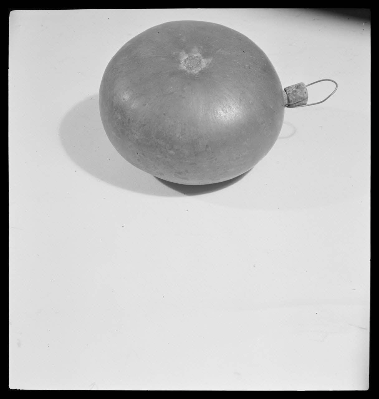 Gérard Franceschi photographie Courge avec bouchon en liège France 1942 Ph.1942.165.175 Photo