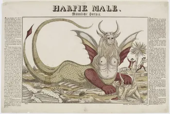 Boulay , Charles ; Clerc Jean Pierre imagerie ancienne HARPIE MALE. Belfort 1831-1842 1986.81.44  Photo RMN-Grand Palais (Mucem)