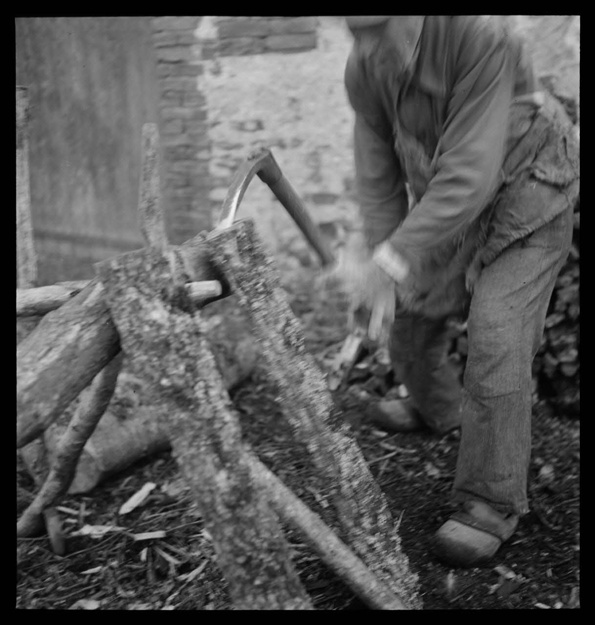 F. Agostini photographie Dans le maquis. Ecorçage des chênes-lièges Corse, France 1942/7/1 Ph.1942.138.25 Photo