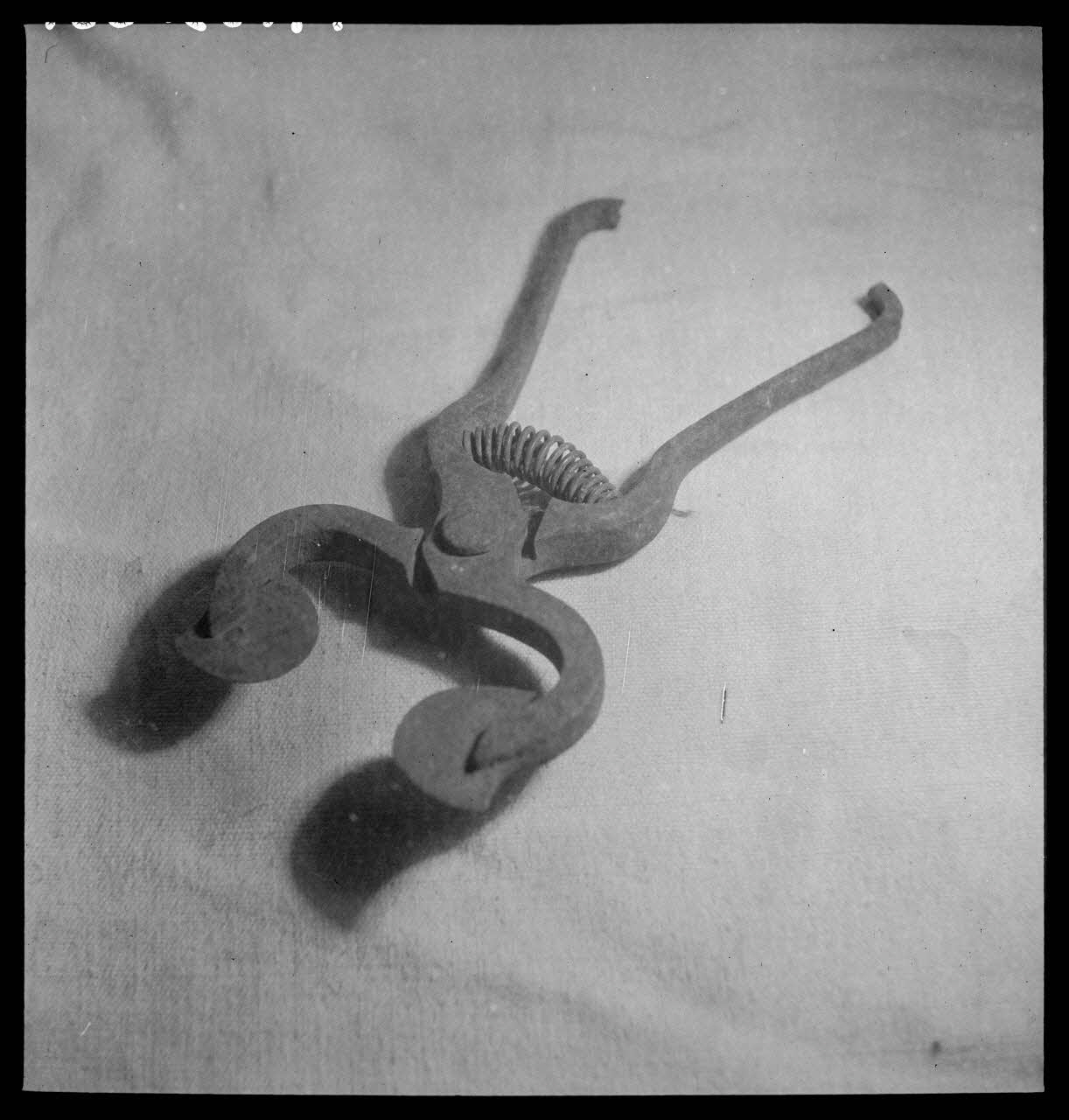 Manziat photographie Sécateur pour les pains de sucre Bourgogne, France 1944/1/1 Ph.1944.33.331 Photo