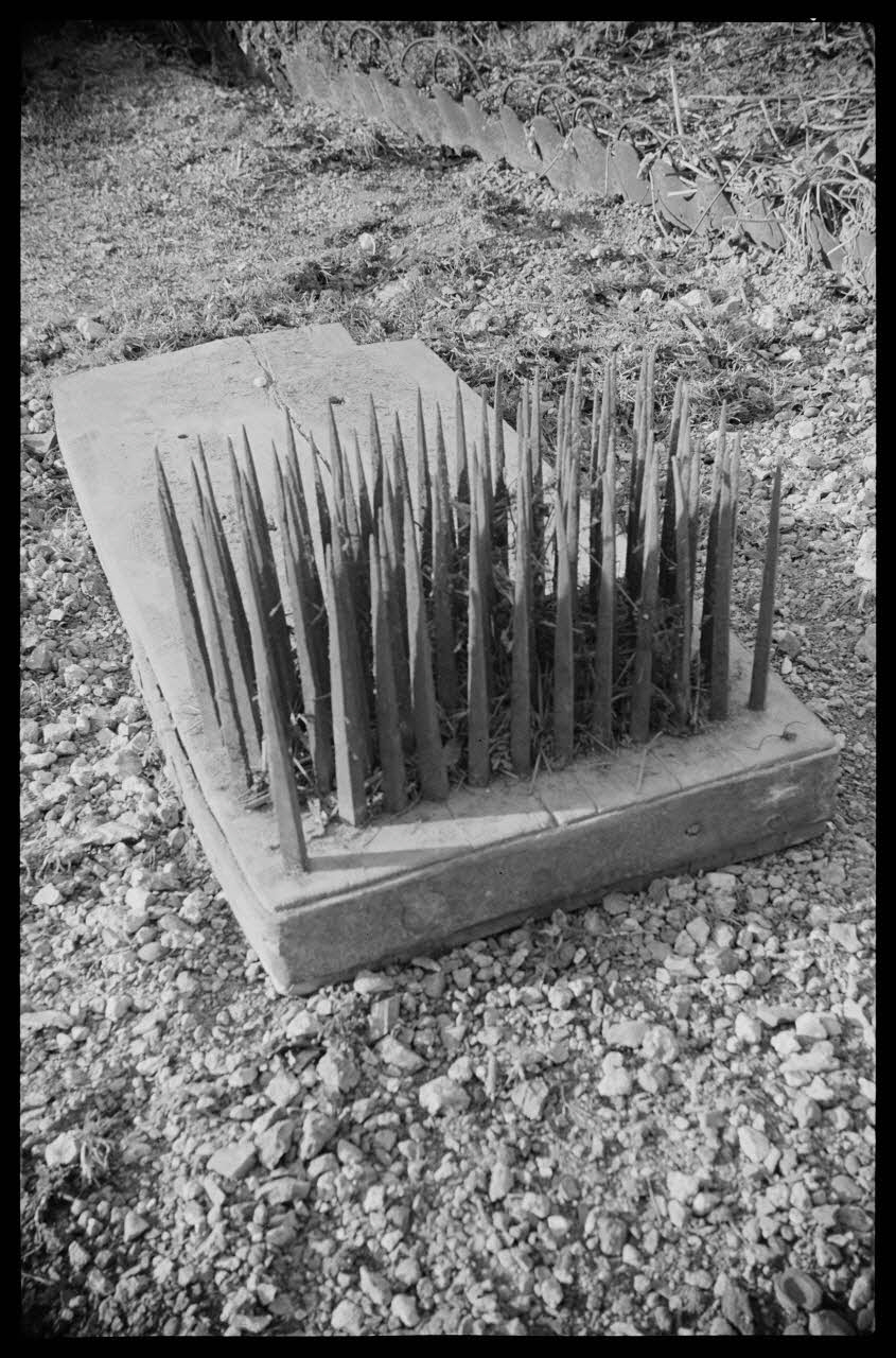 Bobignard photographie Chez Monsieur Guédon. Seribe (?) de cordier Bourgogne, France 1944/3/1 Ph.1944.82.175 Photo