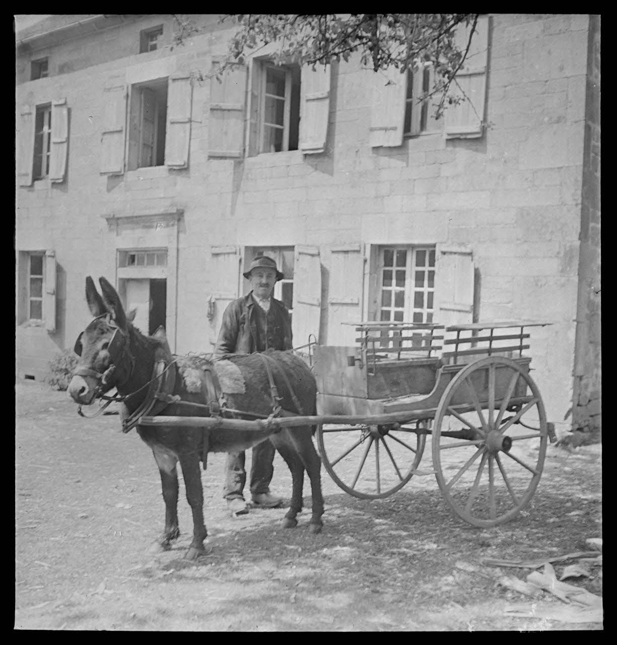 A. Aussonne photographie Chez Monsieur Arfeuillère. Ane attelé à une charrette Limousin 1944/5/31 Ph.1944.117.40  Photo