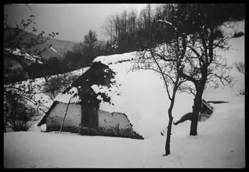 Henry photographie Maison de Monsieur Demansy Franche-Comté, France 1943/12/1 Ph.1944.134.52  Photo