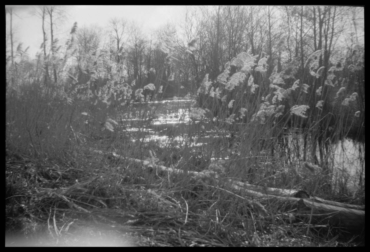 Camion photographie Marais le long du canal Picardie, France 1945/4/1 Ph.1945.51.3 Photo