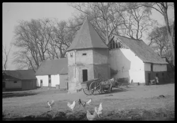 Berthier photographie Ferme de la Mottelette, sur la route de Rue à Forest-Moutiers Midi-Pyrénées, France 1945/3/13 Ph.1945.66.22 Photo