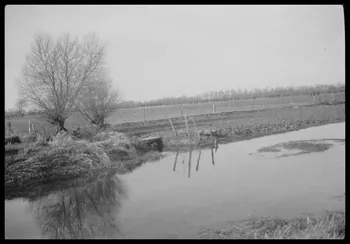 Berthier photographie Paysage caractéristique des bas-champs et du Marquenterre. Vu sur la route de Rue à Forest-Moutiers Picardie, France 1945/3/20 Ph.1945.66.23 Photo