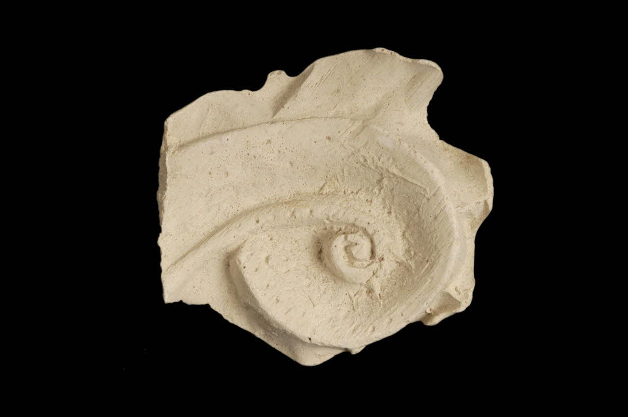 Robert Le Meunier moulage Volutes ornant une armoire Haute-Normandie, France 1941/8/19 1941.36.32 Photo Mucem / Anne Maigret