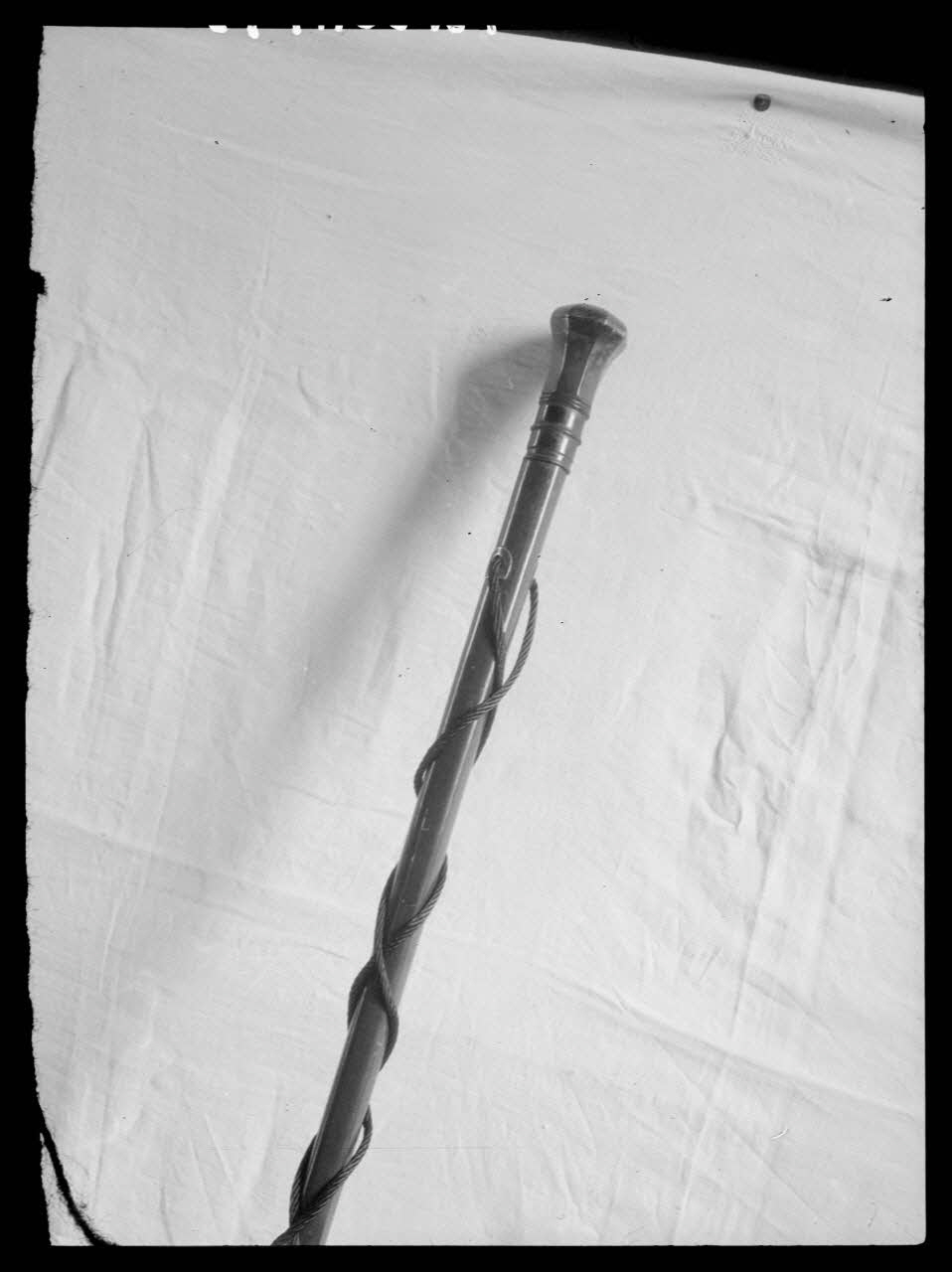 photographie Canne de compagnon, avec un pommeau de parade Ph.1943.301.143 Photo