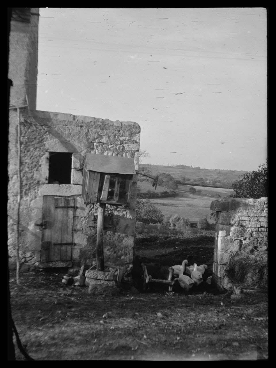 photographie Chez Monsieur Bourgougnon. Cage à fromages Ph.1943.301.146 Photo