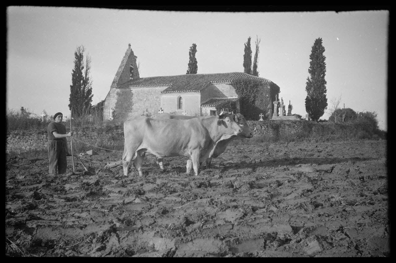 Bernard photographie Chapelle isolée au milieu des terres Aquitaine, France 1944/11/1 Ph.1945.18.18 Photo