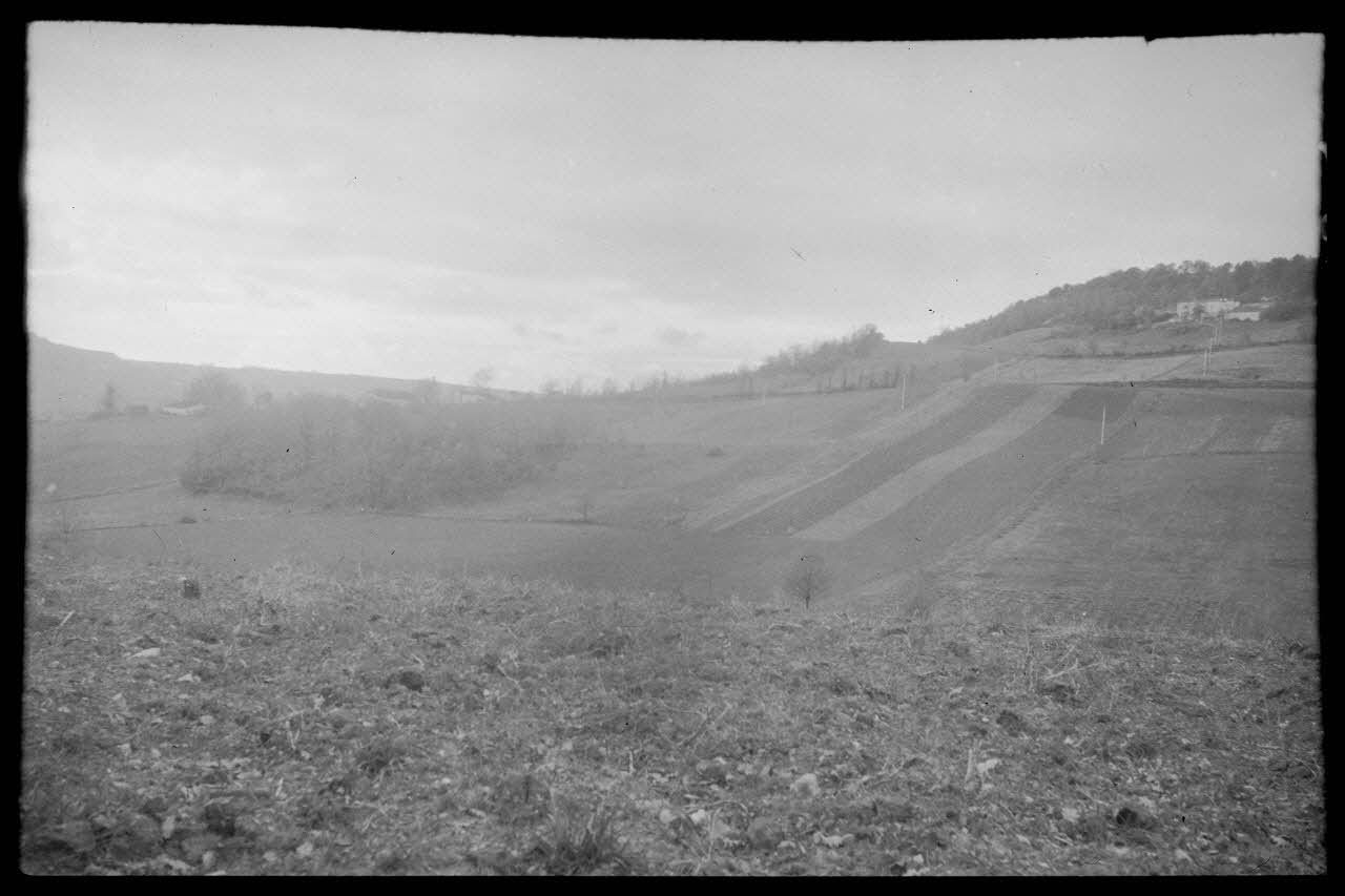 Bernard photographie Des champs sur le bord de la route de Dausse Aquitaine, France 1944/11/18 Ph.1945.18.23 Photo