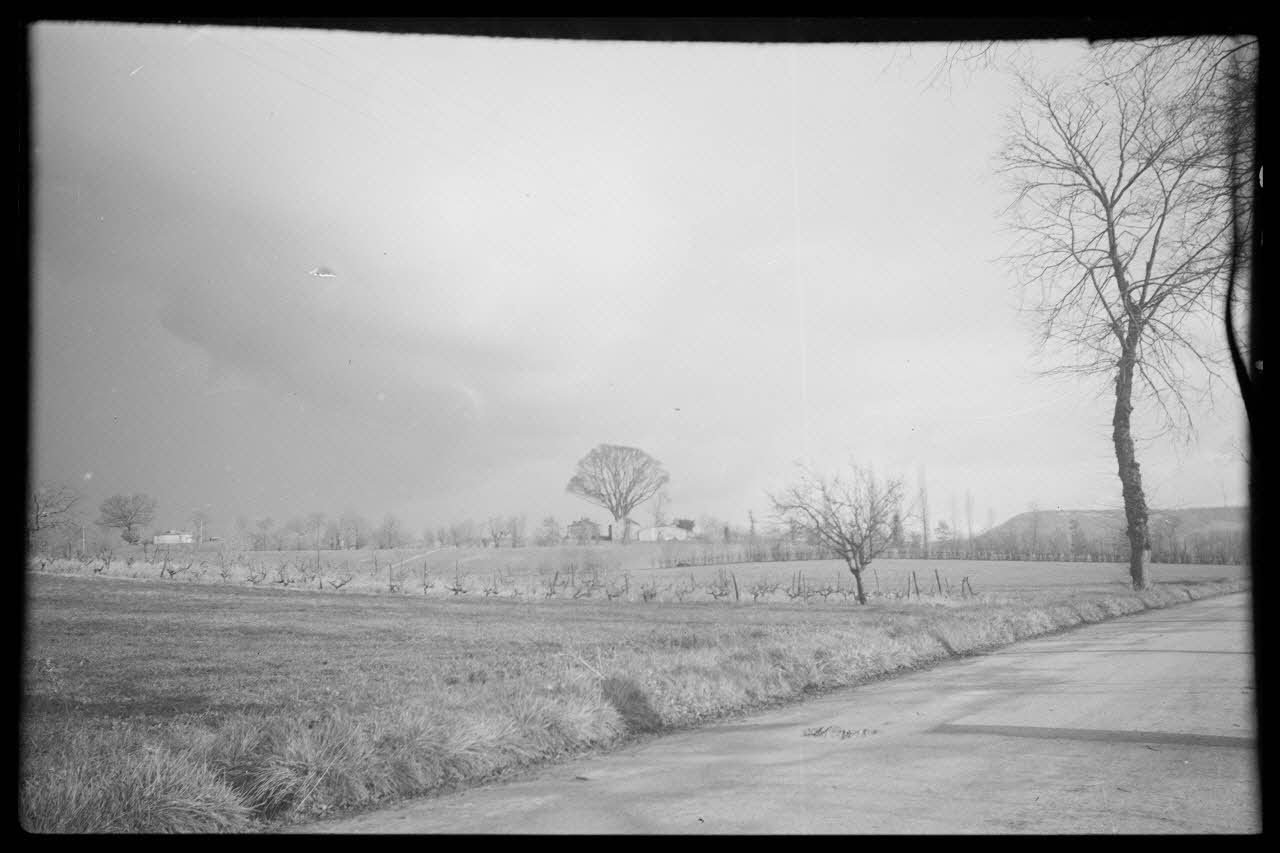 Bernard photographie Métairie de Blanc, avec ses ormeaux. Vue de la route de Dausse à Tournon Aquitaine, France 1944/11/12 Ph.1945.18.5 Photo