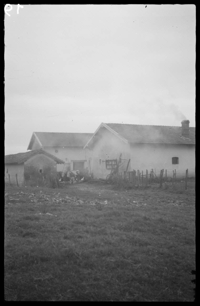 Canteloup photographie [Sans légende] Franche-Comté, France 1945 Ph.1946.68.19 Photo
