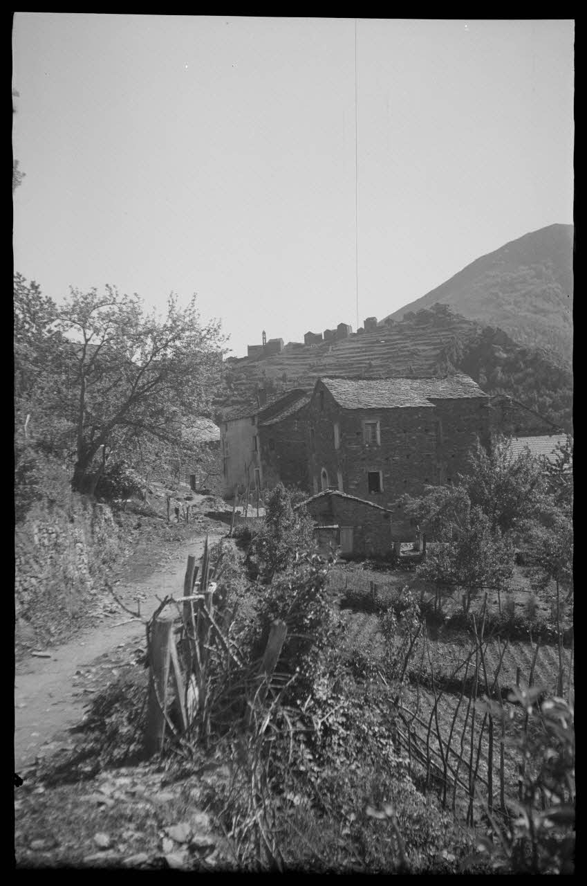 Max photographie Vue d'une partie du village. Au fond, le village de Corticari Corse, France 1946/5/1 Ph.1946.101.1 Photo
