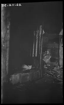Raffi photographie Chez Madame Gros. Cheminée Languedoc-Roussillon, France 1946/6/1 Ph.1946.114.35  Photo