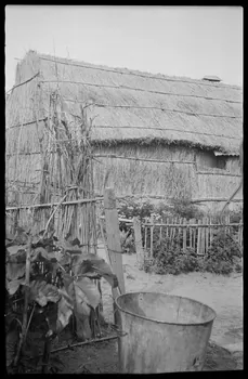 Raffi photographie Chez Madame Gros. Coin de jardin et façade Languedoc-Roussillon, France 1946/6/1 Ph.1946.114.37  Photo