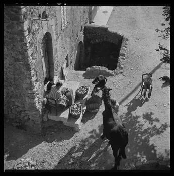 Occhipinti négatif Fabrication d'une boule de buis : Mesdames Hugues et Rouvier cloutent les boules Provence-Alpes-Côte d'Azur, France 1946/10/1 Ph.1946.141.10.1-2  Photo