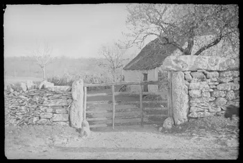 photographie Chez Monsieur Nagis. Fenêtre grillagée Ph.1949.24.39  Photo