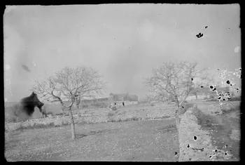 photographie Vue générale Ph.1949.24.45  Photo