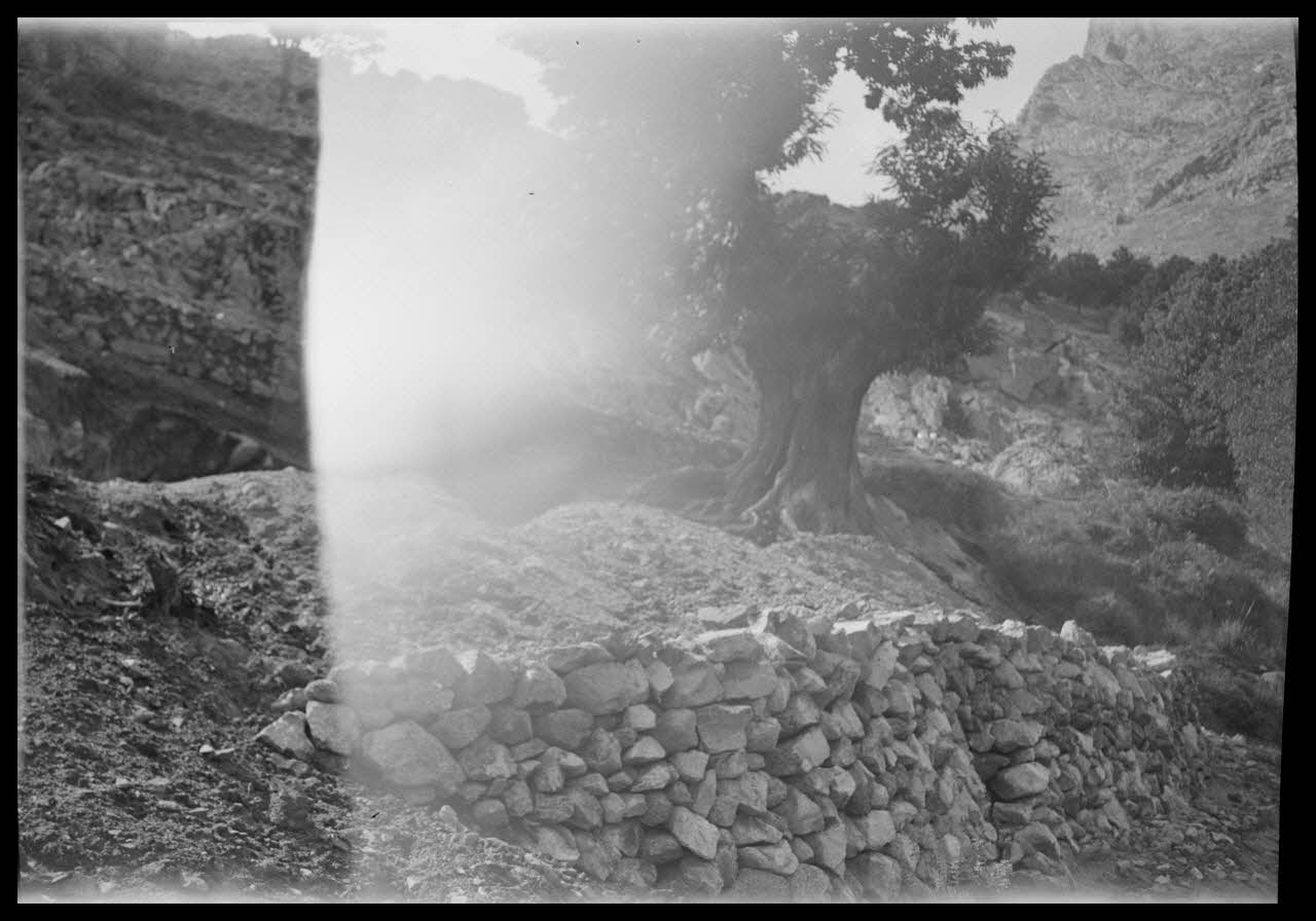 Raymond Borelly photographie Chez Monsieur Marc Alfonsi. Fondation d'une cave en cours de fabrication Corse, France 1948/9/6 Ph.1949.36.34 Photo