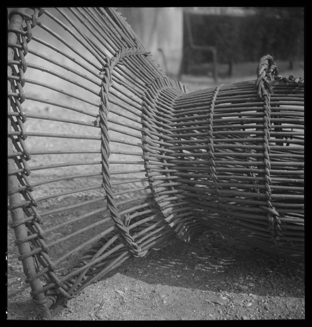 Pierre Soulier photographie Détail d'une nasse en osier tressé Ile-de-France, France 1959/3/25 Ph.1959.55.5 Photo