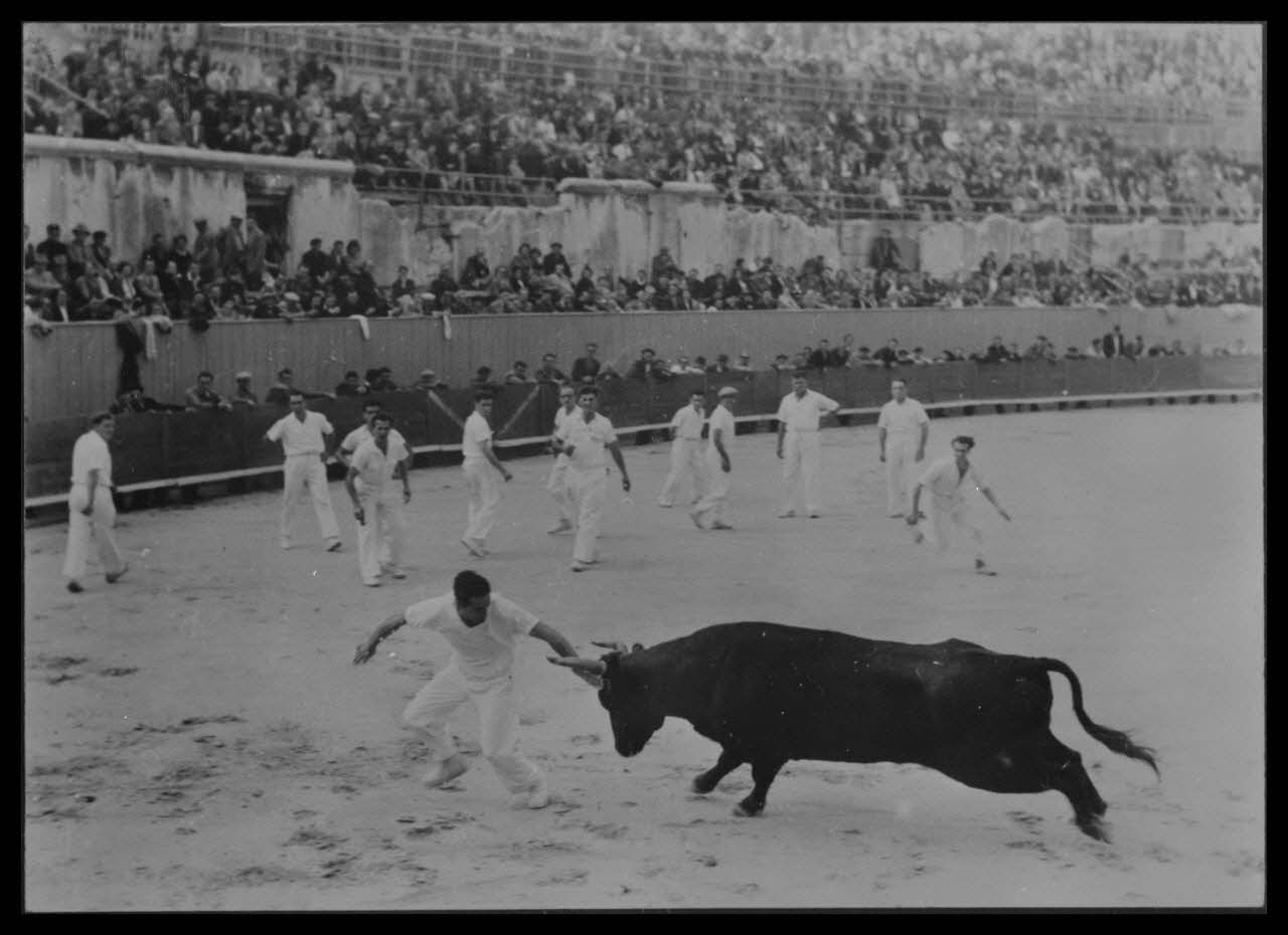 George photographie Course libre. Un razet de Morand du taureau Sangard de la manade Paul Laurent de Beaucaire Bouches-du-Rhône, France 1953/10/18 Ph.1957.47.5 Photo