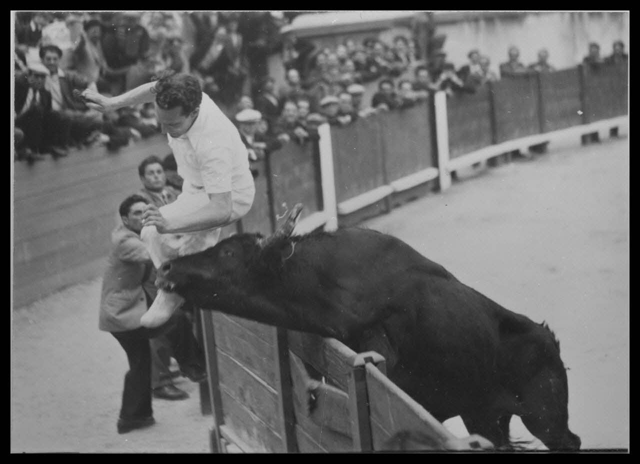 George photographie Course libre. Coup de barrière de Vovo de la manade Aubanel de baroncelli de Saintes-Maries-de-la-Mer sur Monsieur Fedani Languedoc-Roussillon, France 1953/4/12 Ph.1957.47.8 Photo