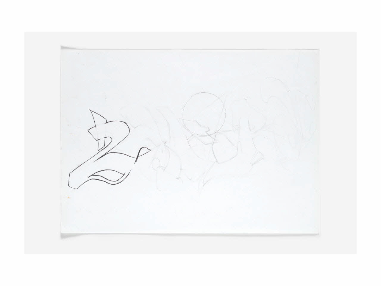 Rose dessin Esquisse Fès-Meknès, Maroc 2013-2015 2016.47.1 Photo