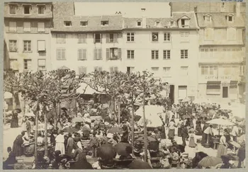 Oppermann photographie Album n°2 du Musée d'ethnographie du Trocadéro Alsace, France 1886/1/1 Ph.1944.41.256 Photo