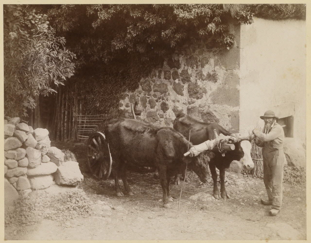 Alfred Gendraud photographie Album n°2 du Musée d'ethnographie du Trocadéro Auvergne, France 1875-1899 Ph.1944.41.272 Photo
