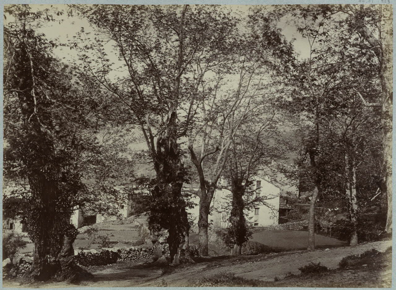 Miguel Aleo photographie Album n°3 du Musée d'ethnographie du Trocadéro Corse, France 1875-1899 Ph.1944.41.323 Photo