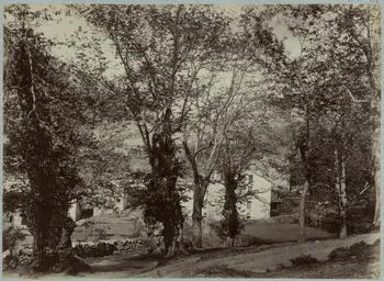 Miguel Aleo photographie Album n°3 du Musée d'ethnographie du Trocadéro Corse, France 1875-1899 Ph.1944.41.323 Photo