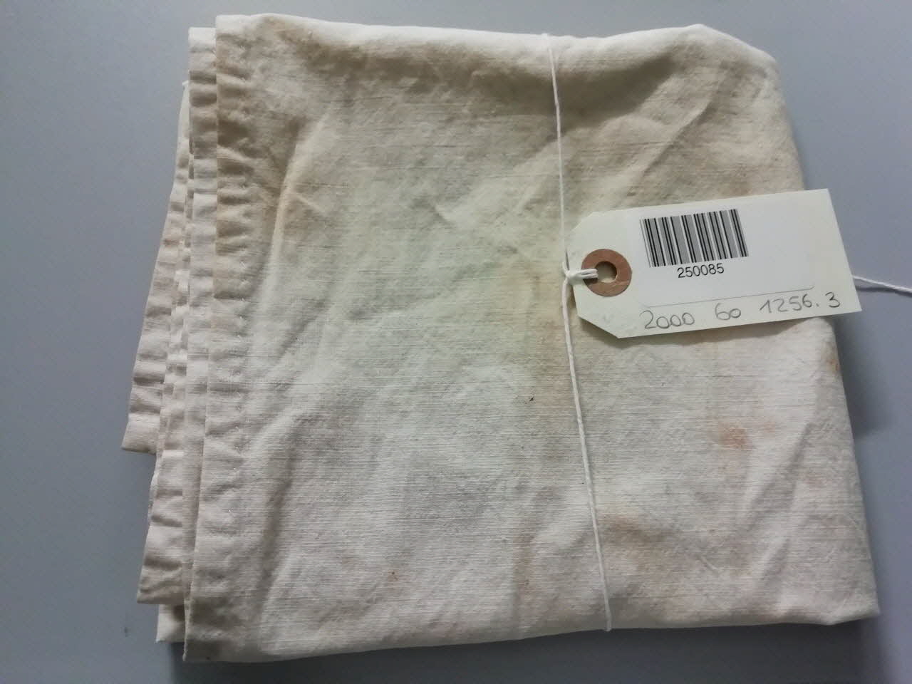 chiffon 2000.60.1256.3 Photo