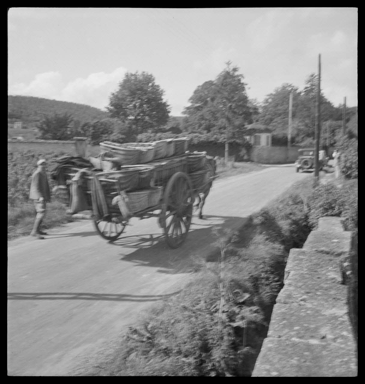 Rondet photographie MNATP. Enquête sur la viticulture en Bourgogne (1946 - 1950). Bourgogne, France 1950/9/26 Ph.1950.41.194 Photo