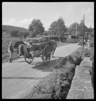 Rondet photographie MNATP. Enquête sur la viticulture en Bourgogne (1946 - 1950). Bourgogne, France 1950/9/26 Ph.1950.41.194 Photo