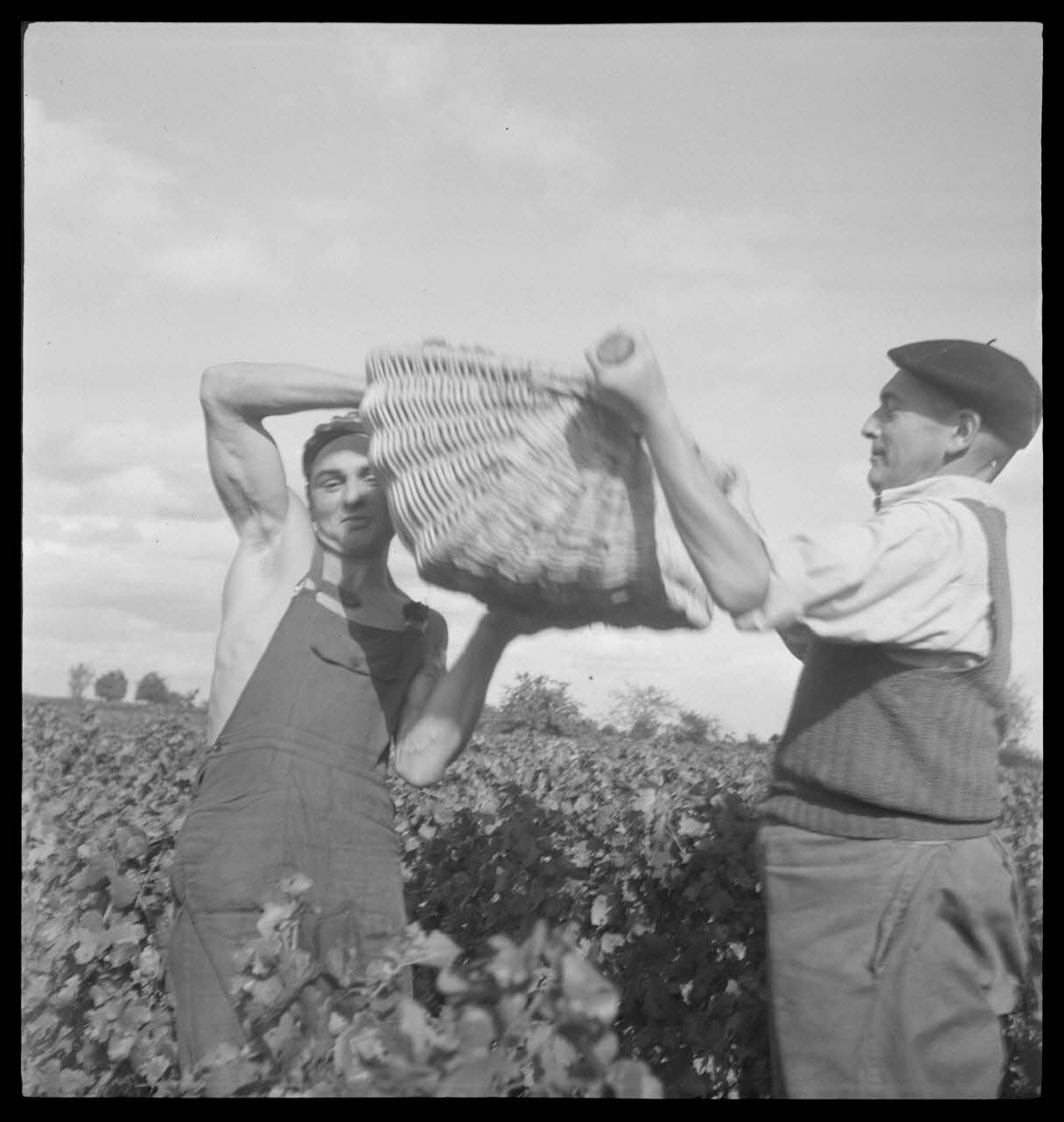 Rondet photographie MNATP. Enquête sur la viticulture en Bourgogne (1946 - 1950). Bourgogne, France 1950/9/26 Ph.1950.41.201 Photo Mucem / Rondet