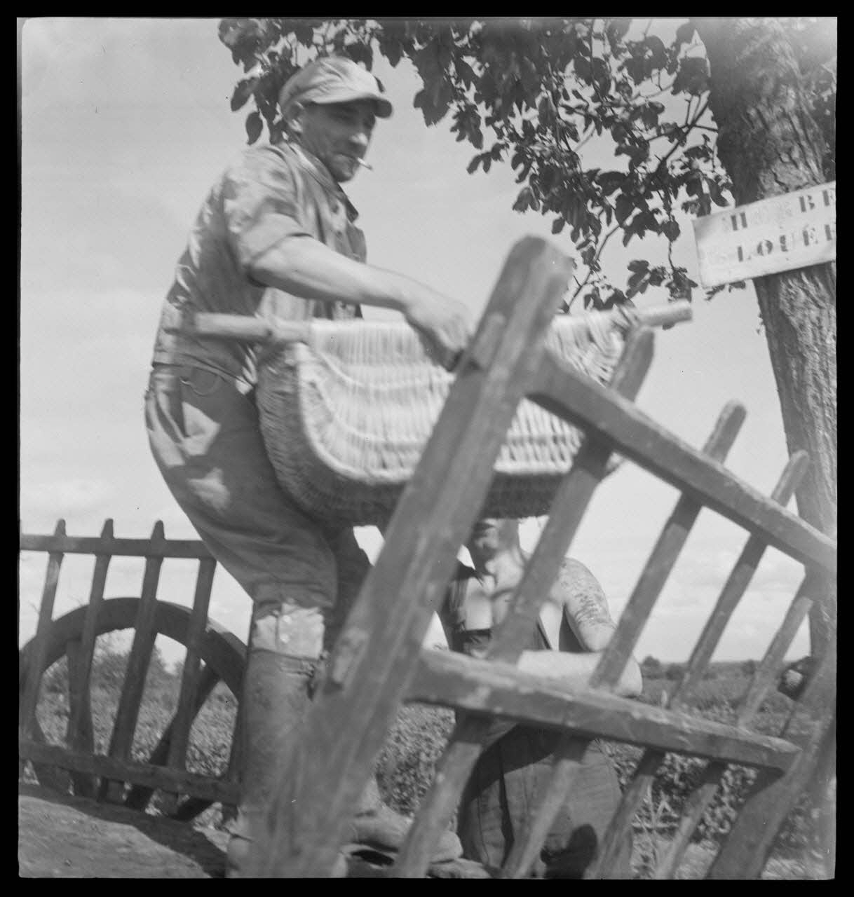 Rondet photographie MNATP. Enquête sur la viticulture en Bourgogne (1946 - 1950). Bourgogne, France 1950/9/26 Ph.1950.41.202 Photo
