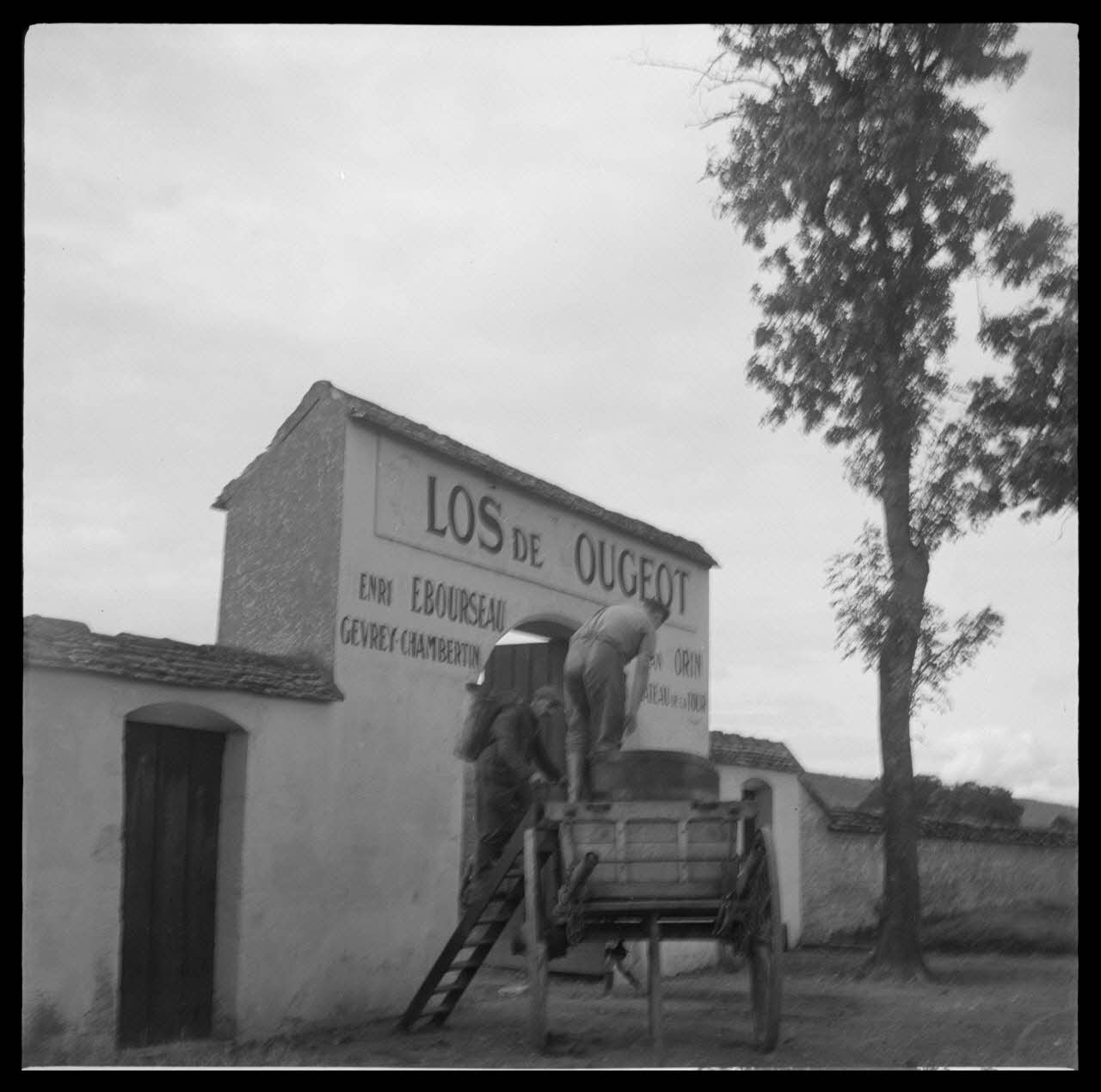 Rondet photographie MNATP. Enquête sur la viticulture en Bourgogne (1946 - 1950). Bourgogne, France 1950/9/26 Ph.1950.41.216 Photo
