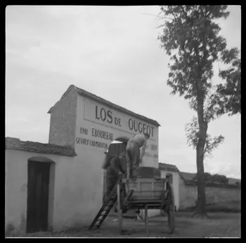 Rondet photographie MNATP. Enquête sur la viticulture en Bourgogne (1946 - 1950). Bourgogne, France 1950/9/26 Ph.1950.41.216 Photo