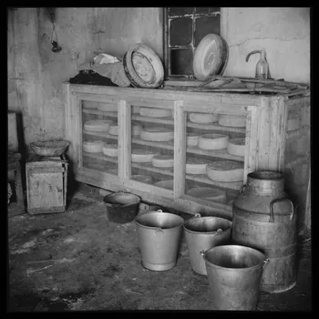 Le Coq photographie Chez Monsieur Guido. Laiterie Provence-Alpes-Côte d'Azur, France 1950 Ph.1953.108.38 Photo
