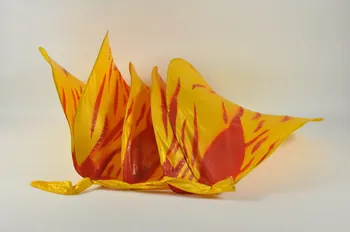 Association Magma ; Sophie Bourgeois décor costume "Hibiscus" Guadeloupe, France 1997 1997.66.2.2  Photo Mucem